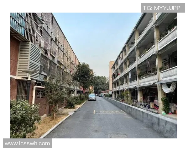 广州车陂附近篮球场的最佳打球地点推荐与周边设施介绍